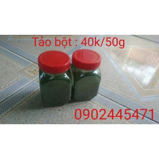 Tảo bột : thức ăn cho cá , tép , artermia