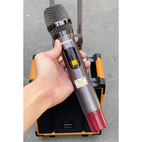 Loa karaoke mini Temeisheng QX-0870, loa kéo cỡ nhỏ, bass 3 tấc, 300W