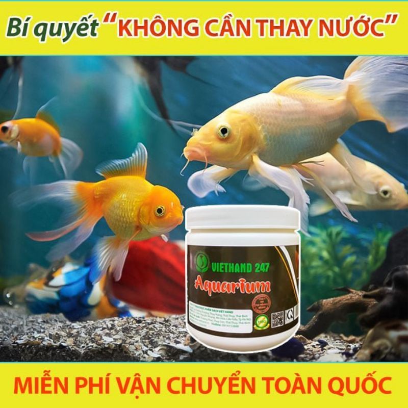 Vi Sinh Cho Cá Cảnh AQUARIUM VIETHAND247/ Nước trong cá khỏe/ Giảm mùi hôi tanh/ 4-5 tháng không phải thay nước 150gam