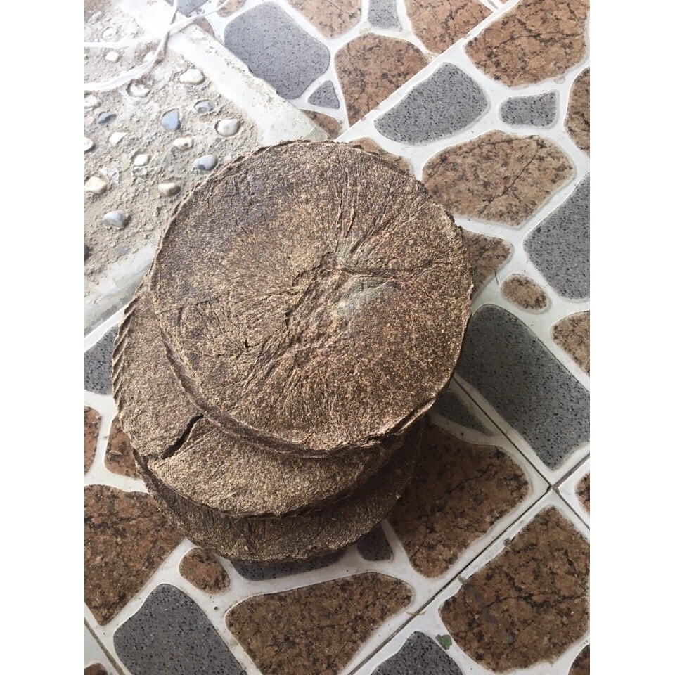 Bánh dầu đậu phộng - bã lạc