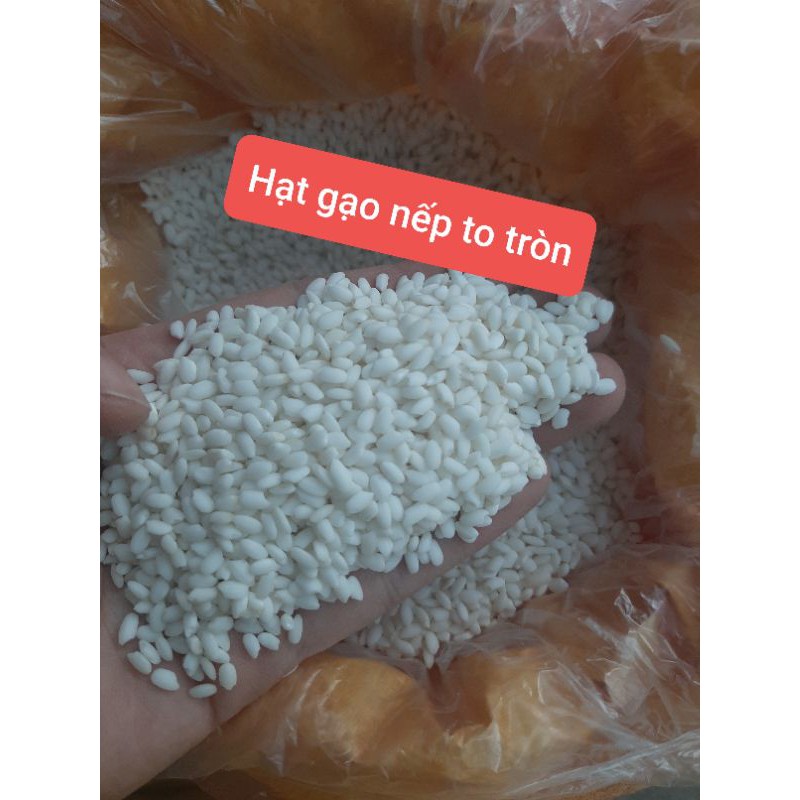 5KG BỘT CHÈ LAM NẾP CÁI HOA VÀNG ( GIÁ SỈ )