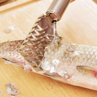 [ Giá Quá Sốc ] Dụng cụ cạo vảy cá bằng inox