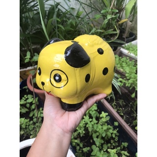 Heo đất chó đóm Vàng size M