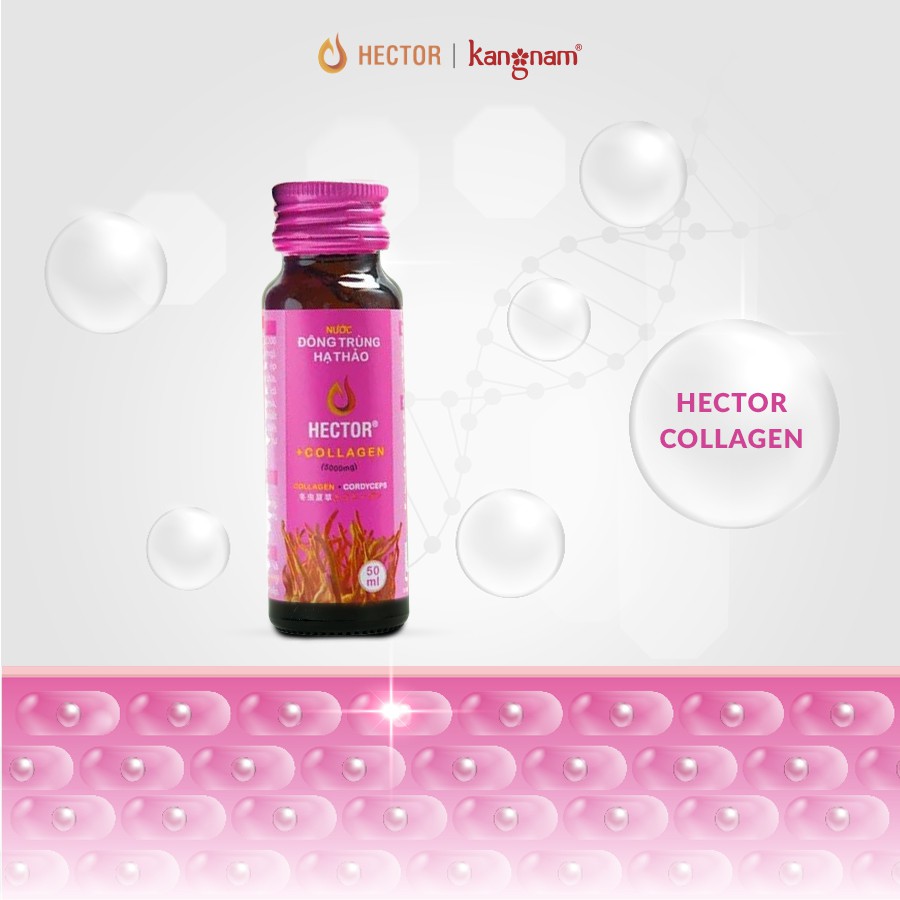 Nước Đông Trùng Hạ Thảo Hector Collagen Hộp 10 Chai Hector Cordyceps Collagen | WebRaoVat - webraovat.net.vn