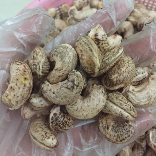 Hạt Điều Nhân Sống size A