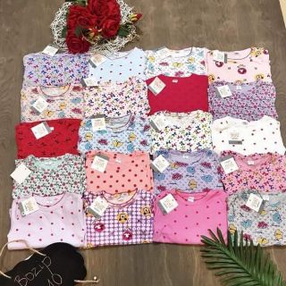 Combo 3 bộ bozip size nhỡ