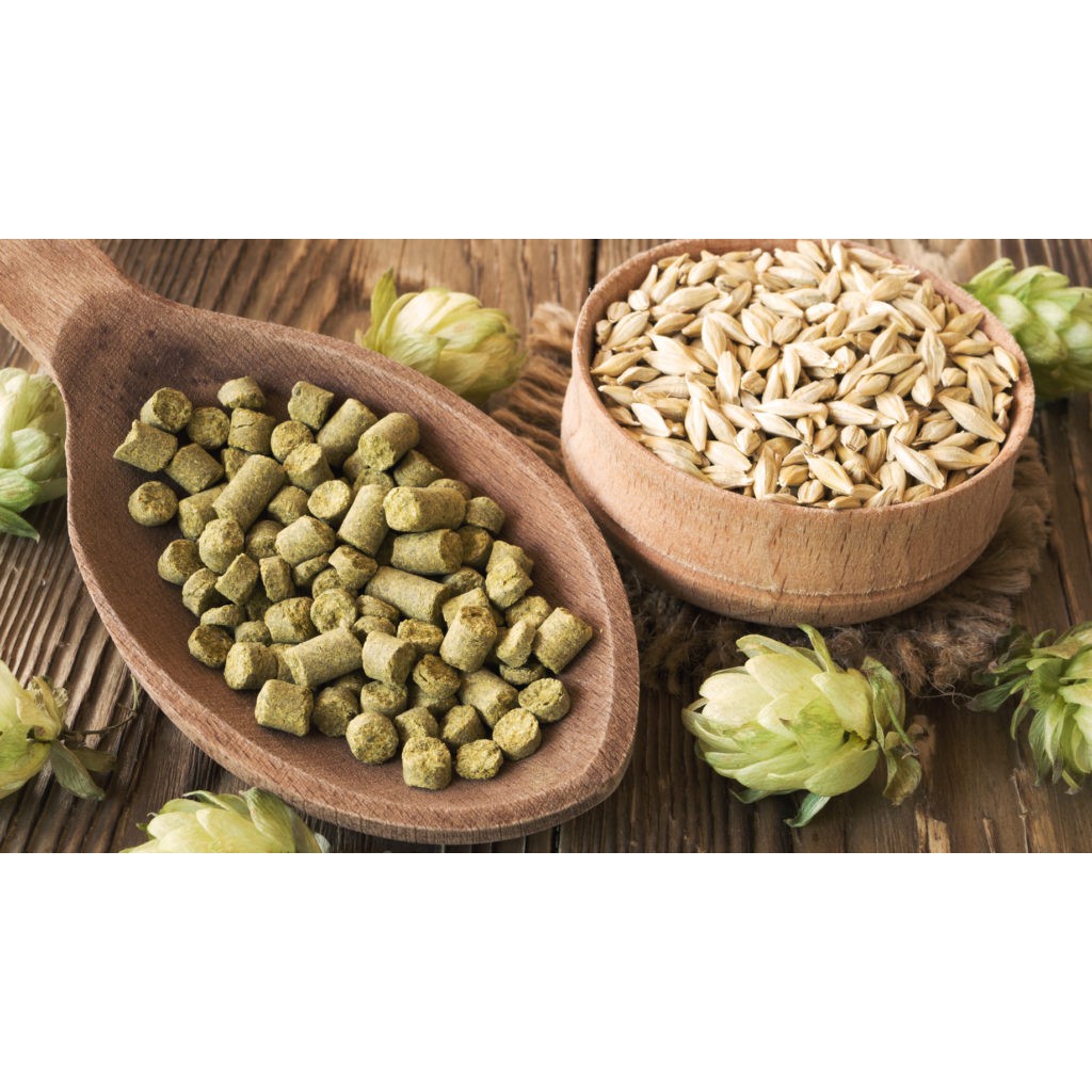 Set nguyên liệu nấu bia Wheat Beer