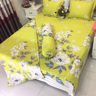 Bộ Ga gối Poly trần bông