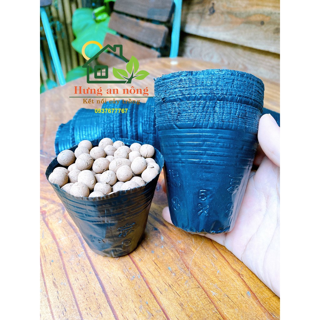 500/1000 chậu nhựa đen mỏng dùng ươm trồng cây giống tiết kiệm chi phí size 6.5x6.5cm