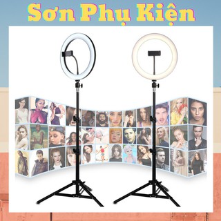 Đèn Live Tream Size 26cm Kèm Gậy 2,1m , 3 chế độ sáng, live tream, chụp hình, trang điểm, trợ sáng