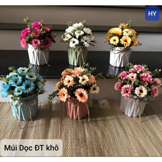 Chậu hoa mini để bàn
