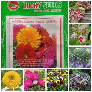 COMBO 14 loại hạt giống hoa dễ trồng các loại (Kèm kích thích hạt nảy mầm)