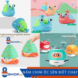 Đồ Chơi Chú Ốc Sên, Nấp, Chim Cánh Cụt Biết Chạy Có Nhạc Và Đèn Cho Bé Yêu