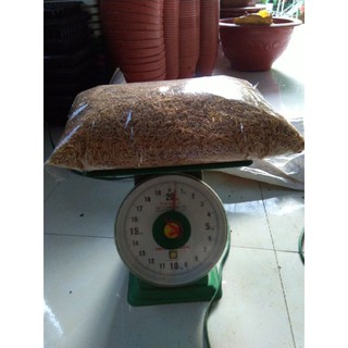 10kg Vỏ trấu sạch hạt to