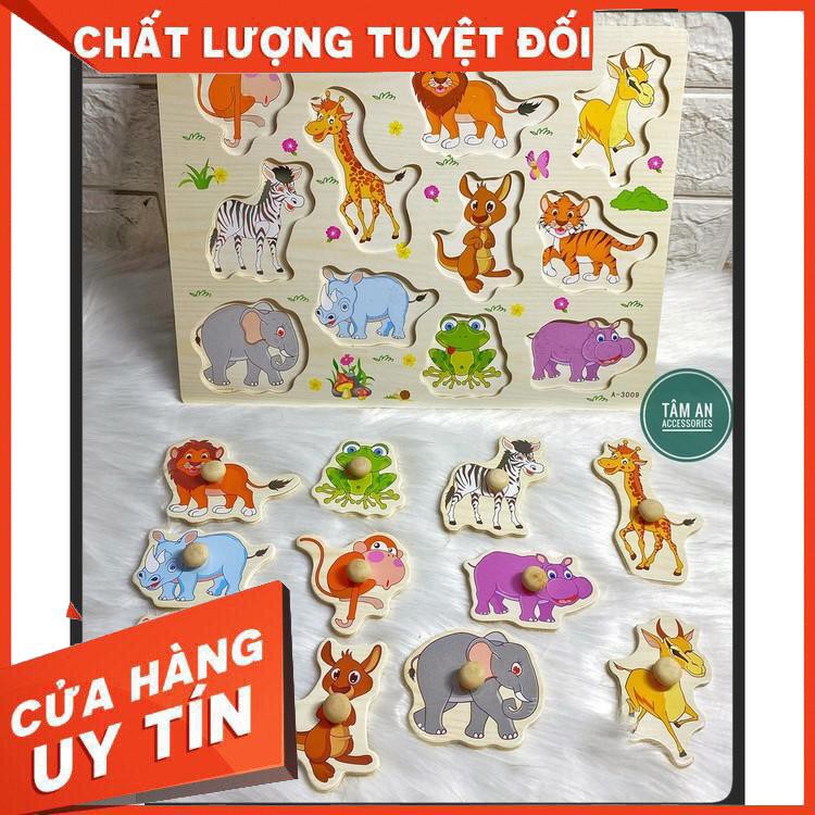 Bộ Đồ Chơi Giáo Dục Cho Bé Trẻ Em Núm Gỗ 12 Chủ Đề Học Phát Triển Từ Vựng Trí Thông Minh