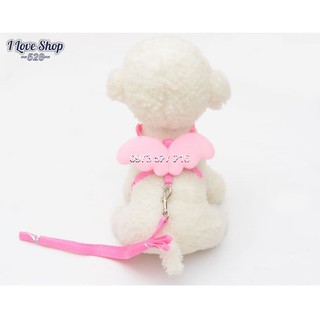 Dây dắt chó đi dạo hình đôi cánh thiên thần cho chó mèo nhỏ