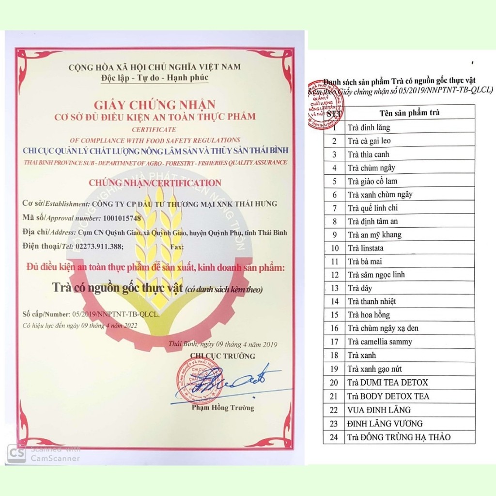 Trà Túi Lọc Đinh Lăng Thái Hưng, giúp An Thần Ngủ Ngon, Trà Thảo Dược Thiên Nhiên (25 túi lọc x 5g) | BigBuy360 - bigbuy360.vn