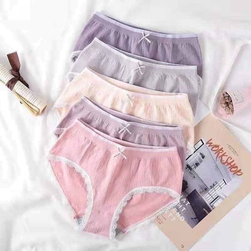 [Hàng Loại 1]Hộp 5 chiếc quần lót nữ Hồng Hạc - quần chip Cotton sợi tăm tre kháng khuẩn