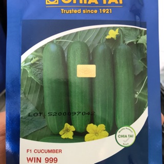 Hạt giống dưa leo chiatai Win 999-Tina 22-money 498-ctv025-angelina 13