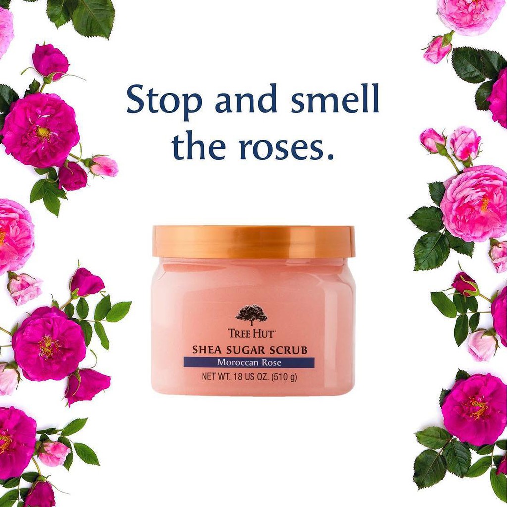 Tẩy Tế Bào Da Chết Toàn Thân TREE HUT Shea Sugar Scrub 510g của Mỹ | BigBuy360 - bigbuy360.vn