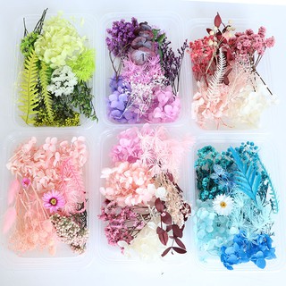 Hộp hoa khô hỗn hợp set theo nhóm màu