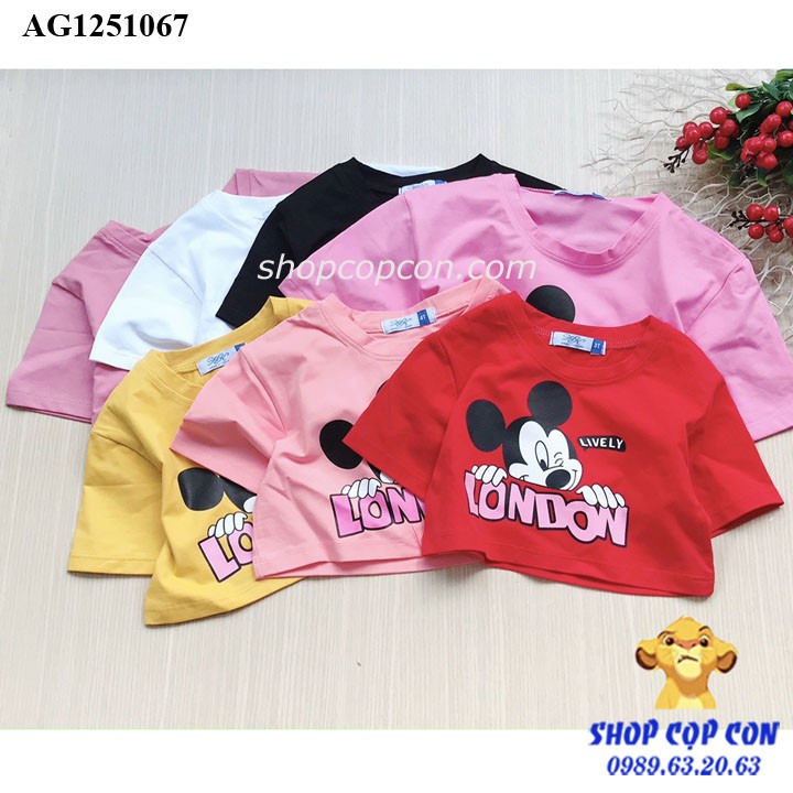 Áo thun croptop hình chuột cho bé gái từ 26kg đến 38kg