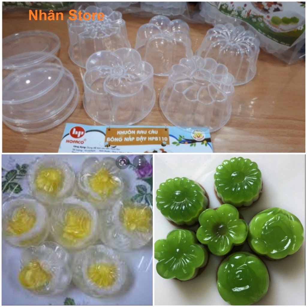10 khuôn rau câu hoa có nắp đậy HPB 110 Hofaco