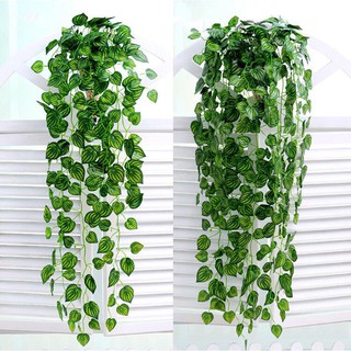Giảm giá Chùm cây leo lá rũ nhỏ treo tường trang trí nhà cửa, nhà ...