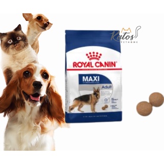 Royal canin maxi adult bao 10kg