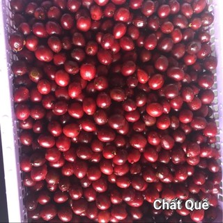 ROBUSTA Cà phê hạt rang xay+ pha máy pha phin cafe dak lak