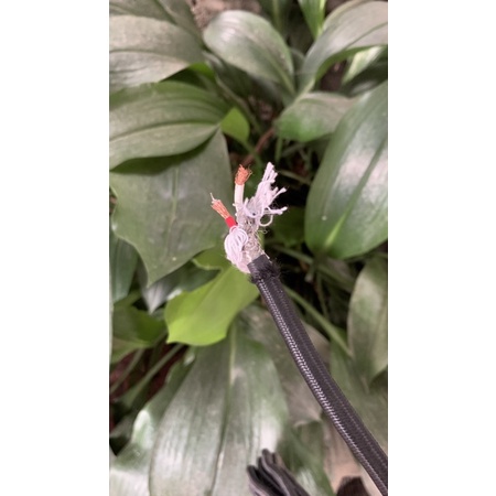 Dây tín hiệu âm thanh