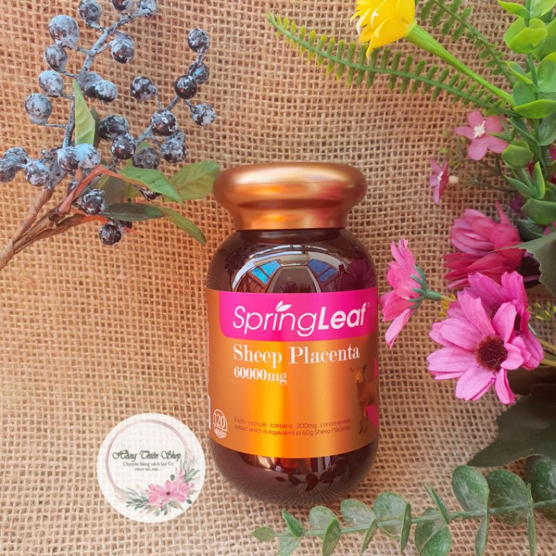 Viên nhau thai cừu cao cấp Spring Leaf Placenta 60000mg 120v | BigBuy360 - bigbuy360.vn