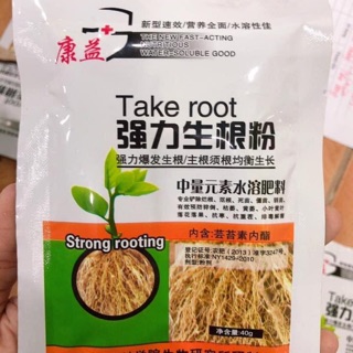 Kích rễ siêu nhanh sau 24 giờ tưới