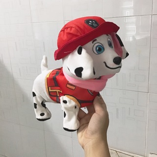 Chó biết đi biết hát