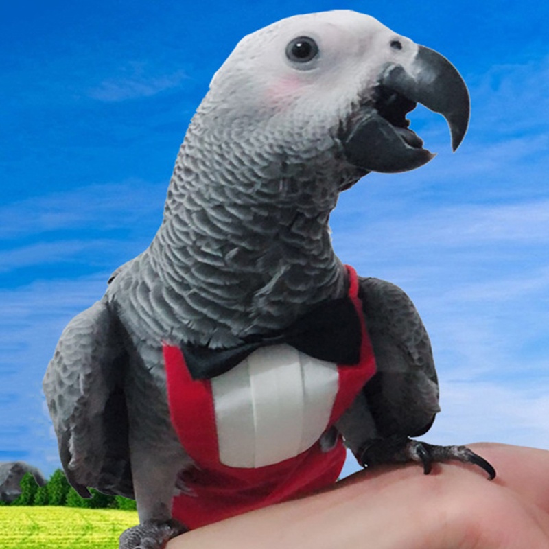 Tã Lót Cho Chim Cảnh / Vẹt Cỡ Nhỏ Tiện Dụng