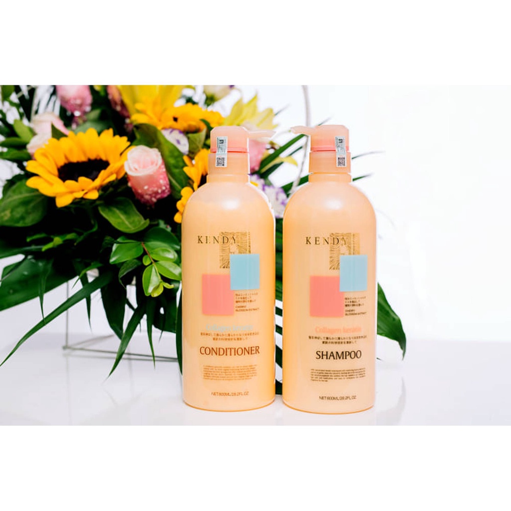 Bộ Gội Xả Dưỡng Sinh Kendy Cao Cấp 500ml*2