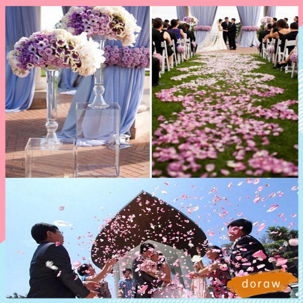 Bộ 100 Cánh Hoa Hồng 3D Dùng Trang Trí Bàn
