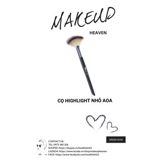 Cọ highlight nhỏ AOA