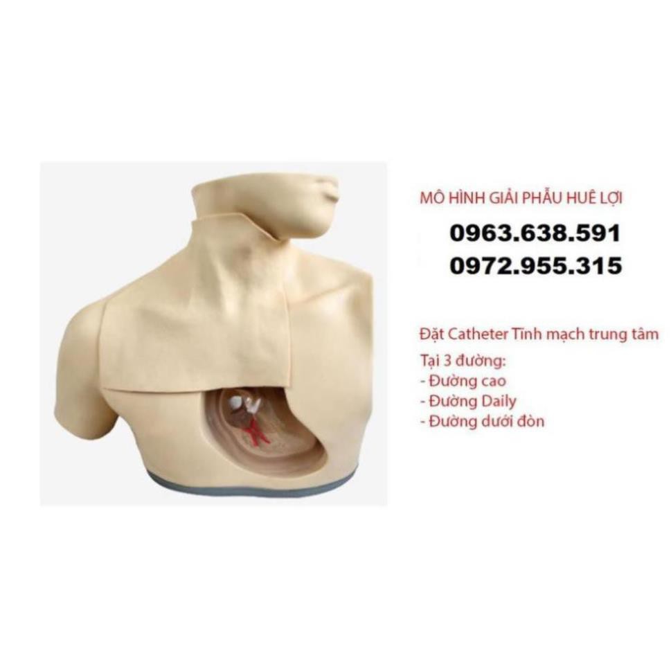 MÔ HÌNH ĐẶT CATHETER TĨNH MẠCH TRUNG TÂM