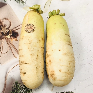 Củ cải hàn quốc tươi 1 củ