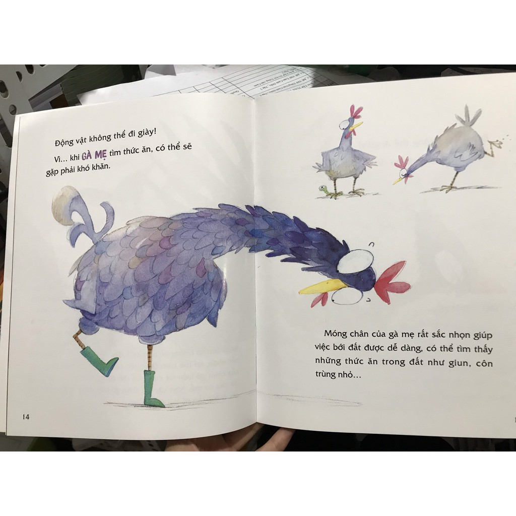 Sách-Động Vật Có Thể Đi Giày Được Không?