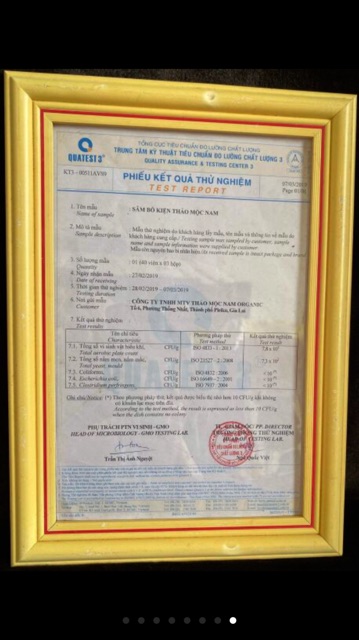 Tăng cân sâm bổ kiện thảo mộc nam [ Chính Hẵng 100%] | BigBuy360 - bigbuy360.vn