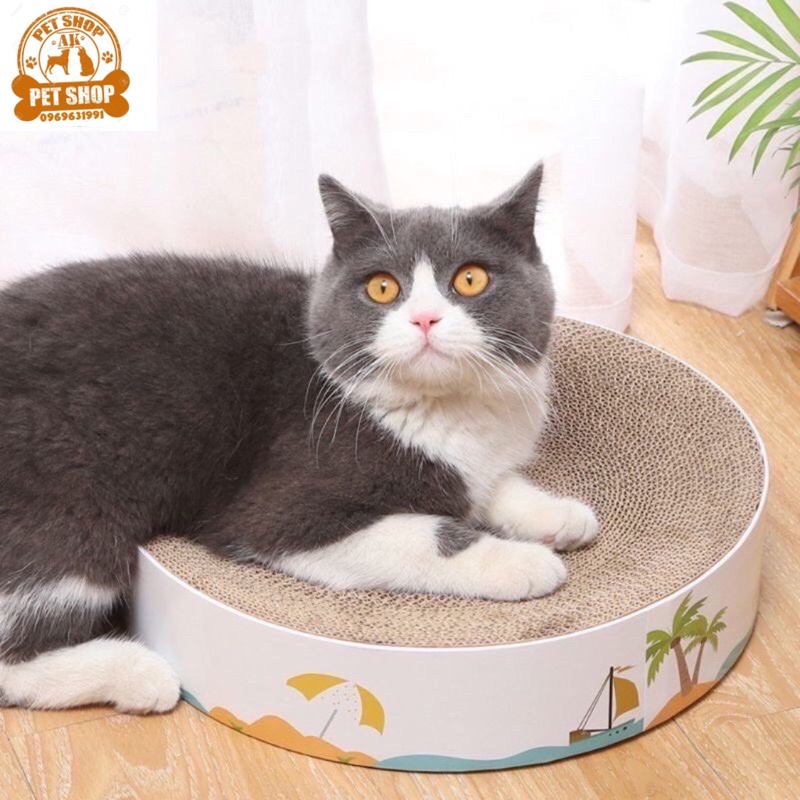 Bàn cào móng tròn - Ổ nằm cho mèo sỉze to 41cm