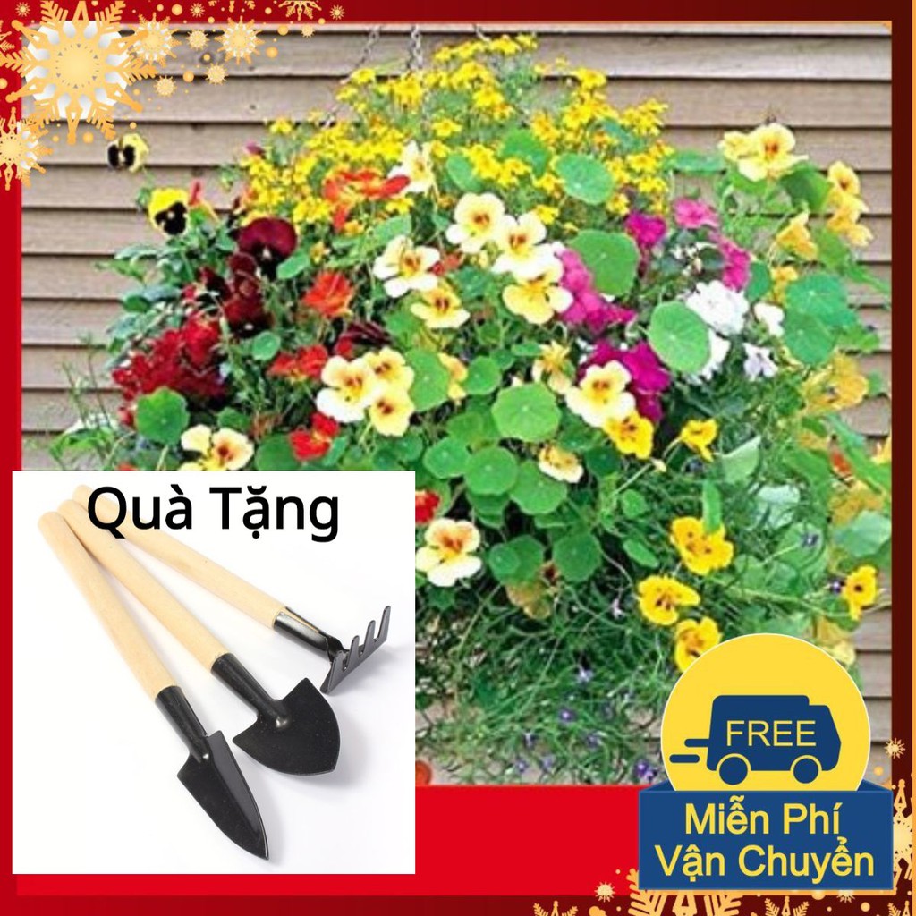 Hạt Giống Hoa Sen Cạn Tặng Bộ Dụng Cụ Mini Trồng Cây Tặng Bộ Dụng Cụ Mini Trồng Cây