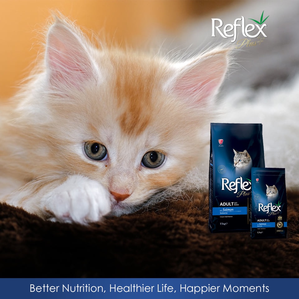 [Mã PET50K giảm Giảm 10% - Tối đa 50K đơn từ 250K] Hạt Reflex Plus cho mèo các loại túi 1,5kg