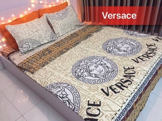 Update cotton poly mẫu mới 