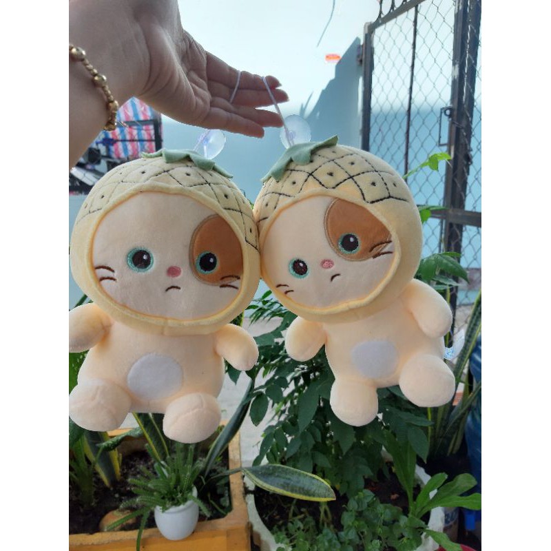 Gấu Bông Mèo Con Cosplay | BigBuy360 - bigbuy360.vn