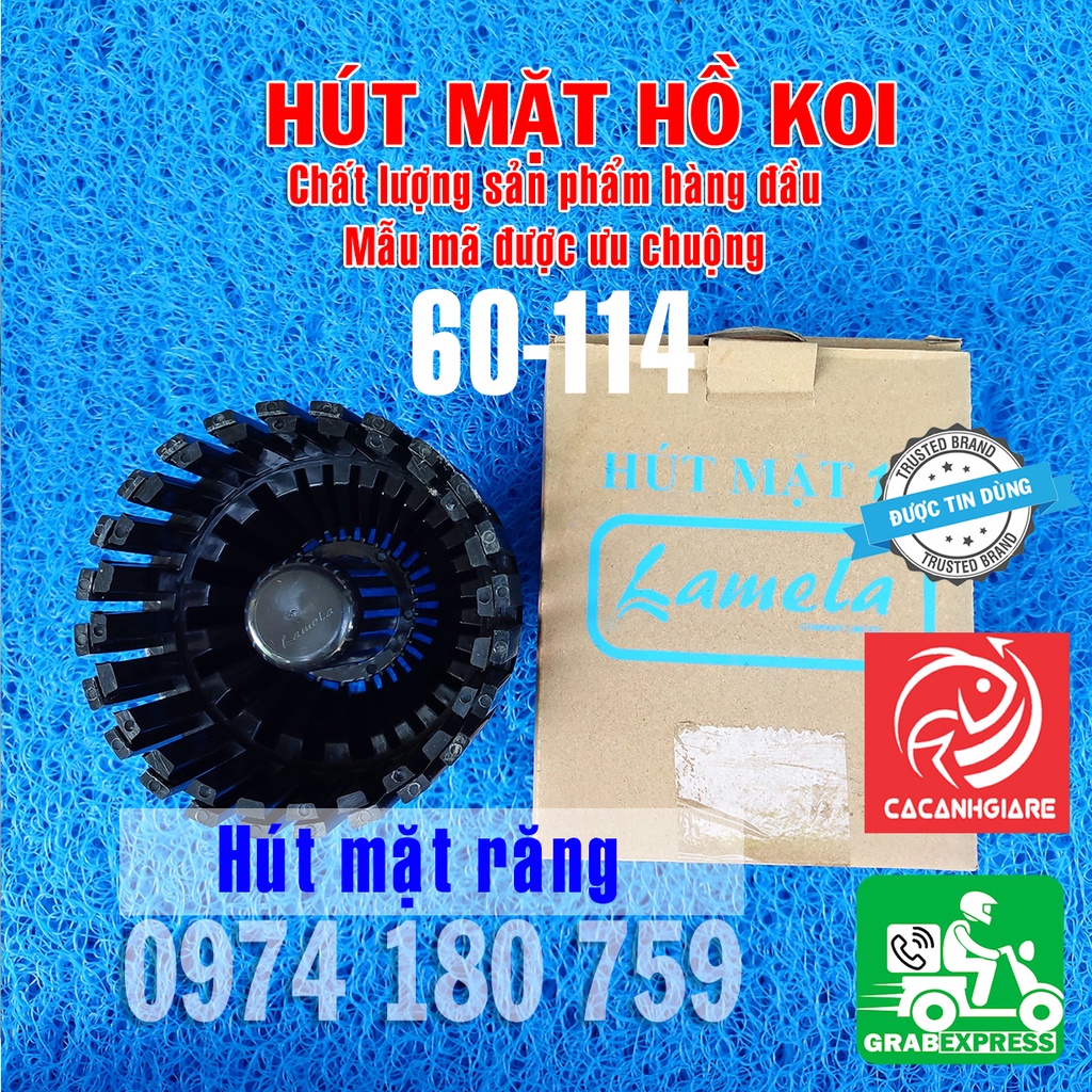 Hút mặt cho hồ cá koi