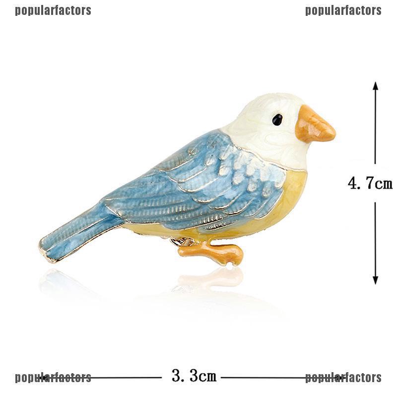 Chú Chim Độc Đáo