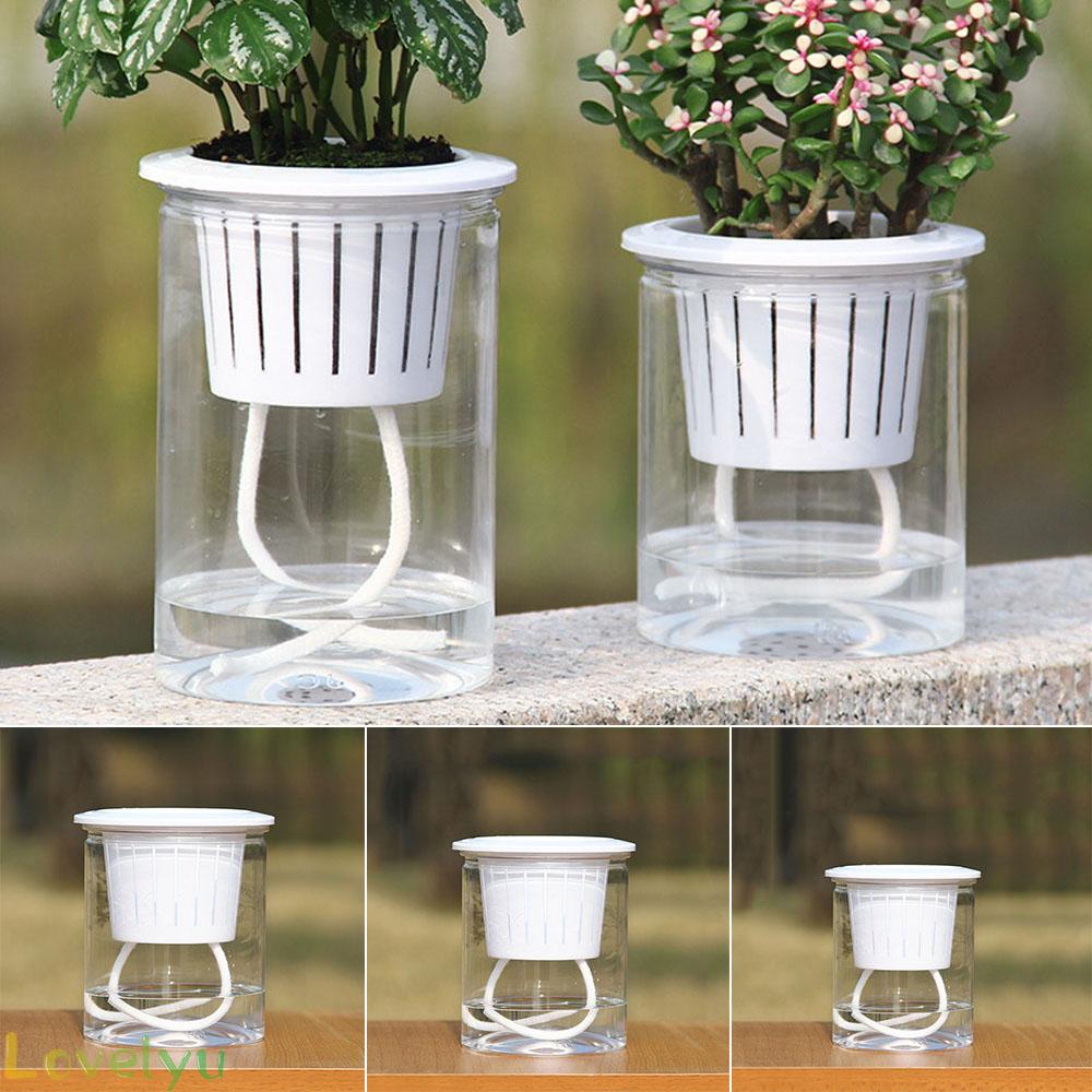 Chậu Cây Resin PP Trong Suốt Tự Tưới Nước